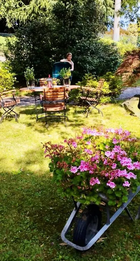 Lukas Home Con Il Cuore Appartamento 3 Camere Al Piano Terra E Appartamento 1 Camera In Taverna Merone 0*,